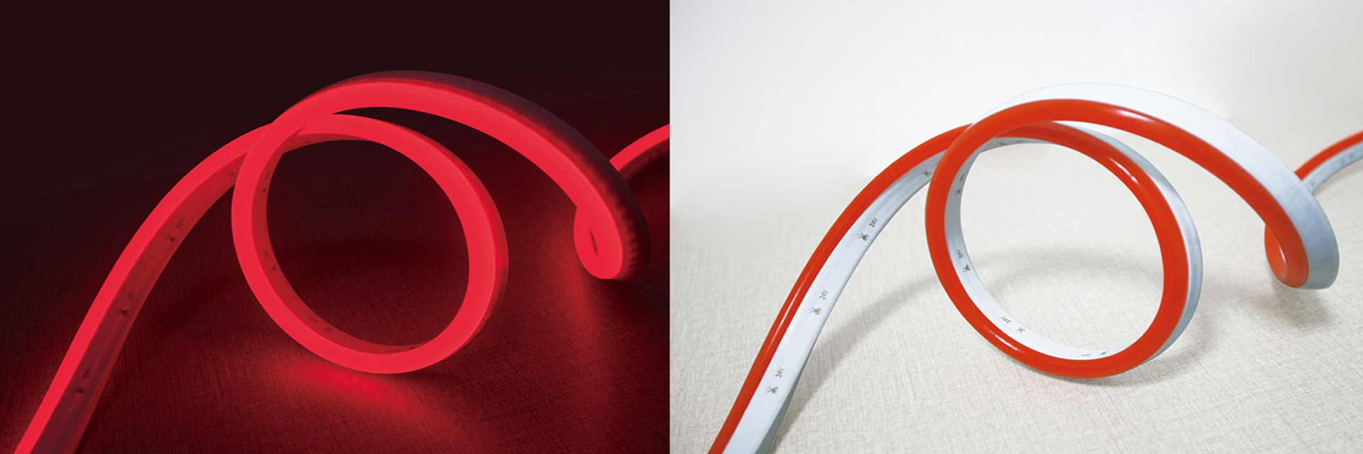 جودة IP68 LED نيون فليكس مصنع