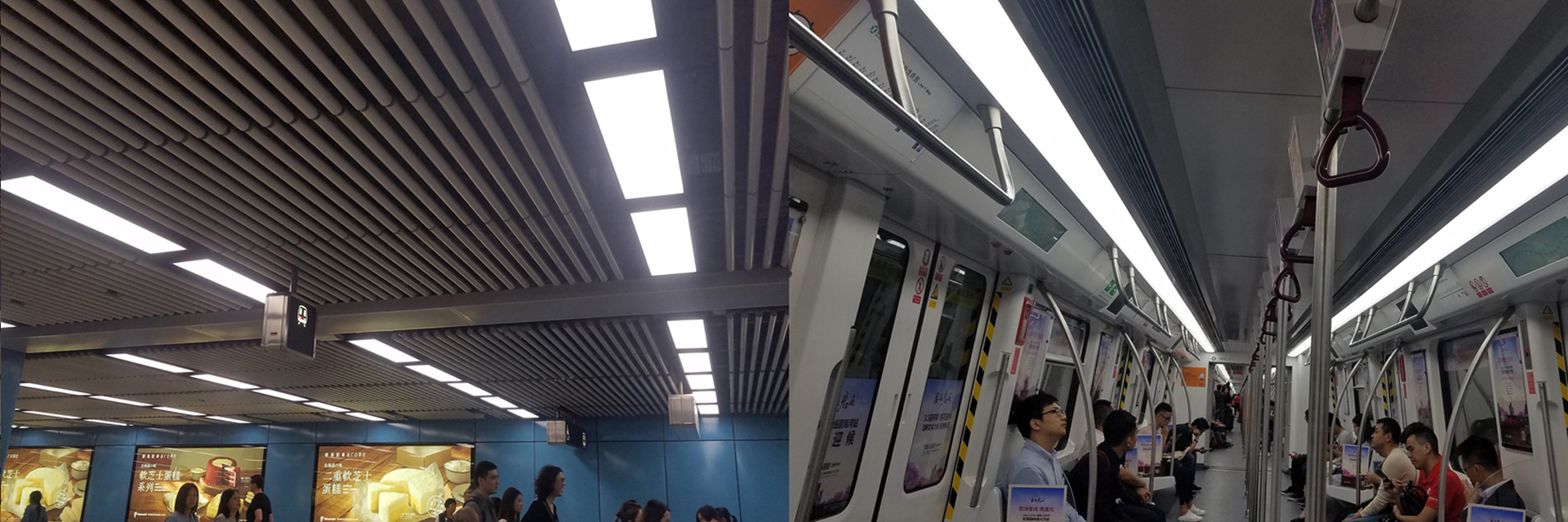 جودة IP68 LED نيون فليكس مصنع