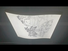 ضوء خطي مصدر للأحجام الخاصة