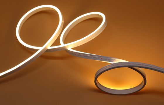 الصلب الذاتي سيليكون LED نيون ثني 10m IP65 تغيير اللون LED نيون Rope Light